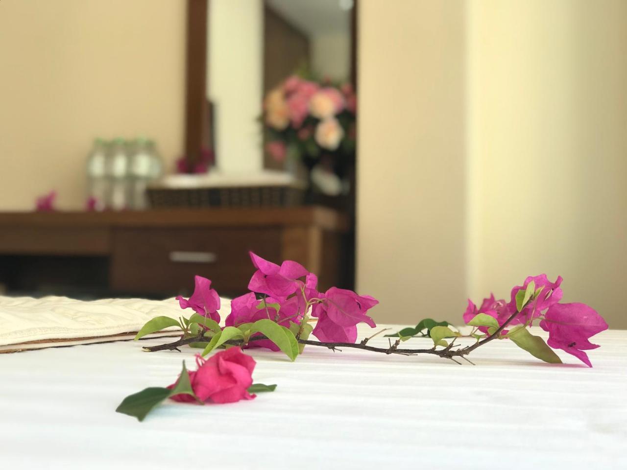 קאט בה Ha Vy Hotel מראה חיצוני תמונה