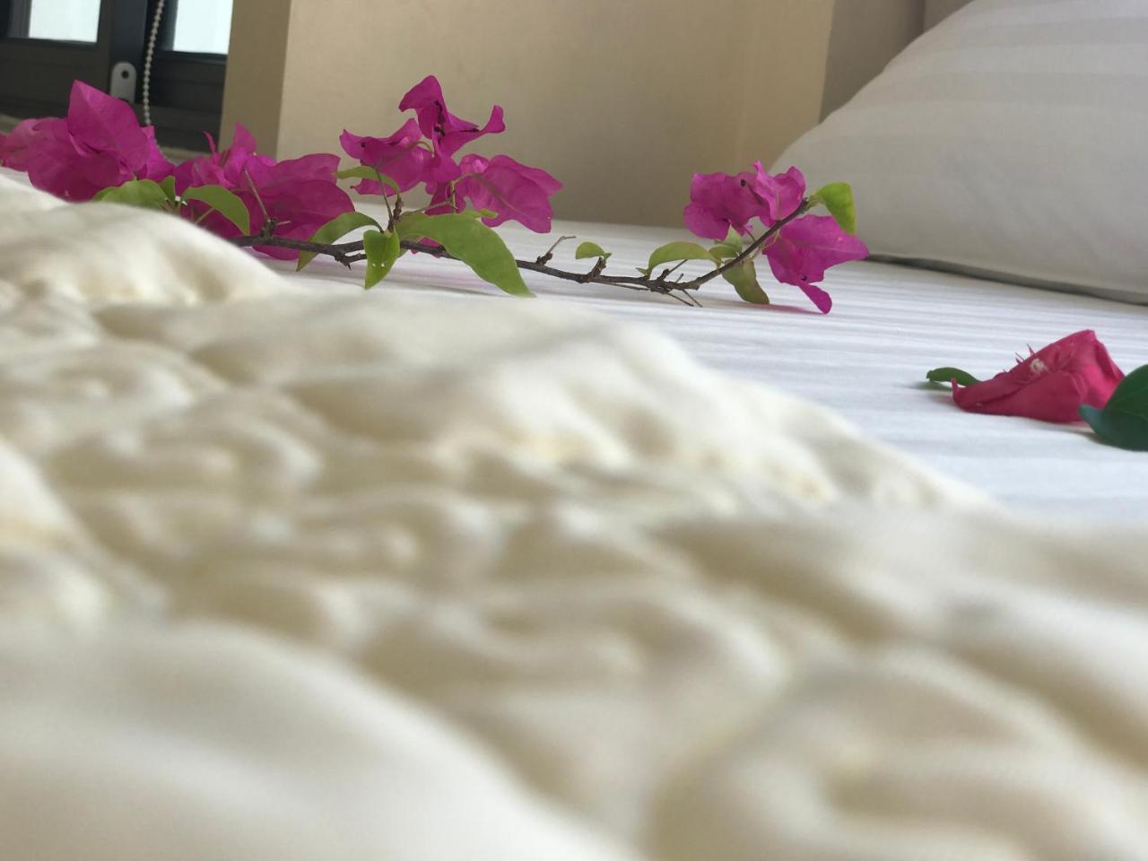 קאט בה Ha Vy Hotel מראה חיצוני תמונה