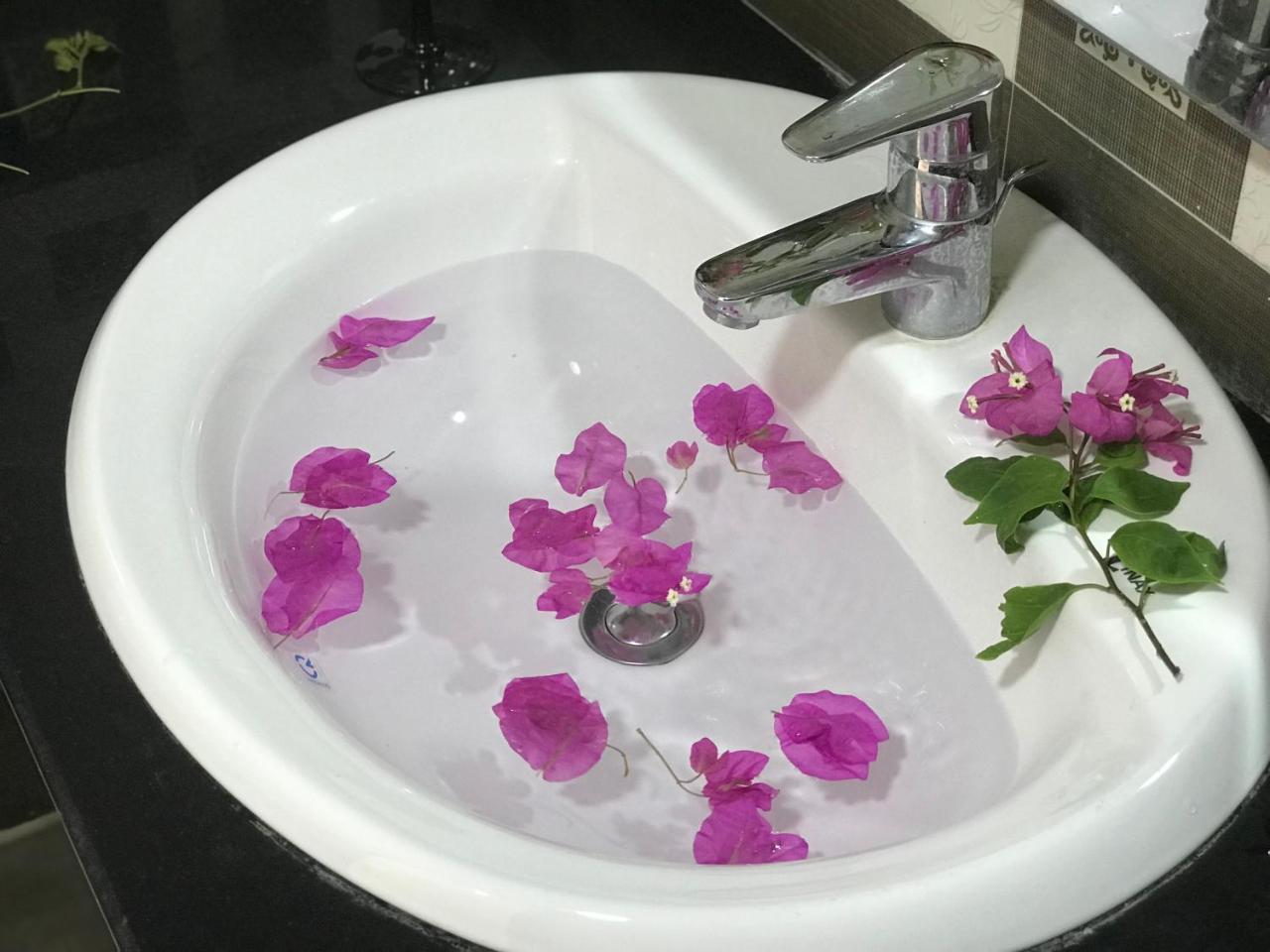 קאט בה Ha Vy Hotel מראה חיצוני תמונה