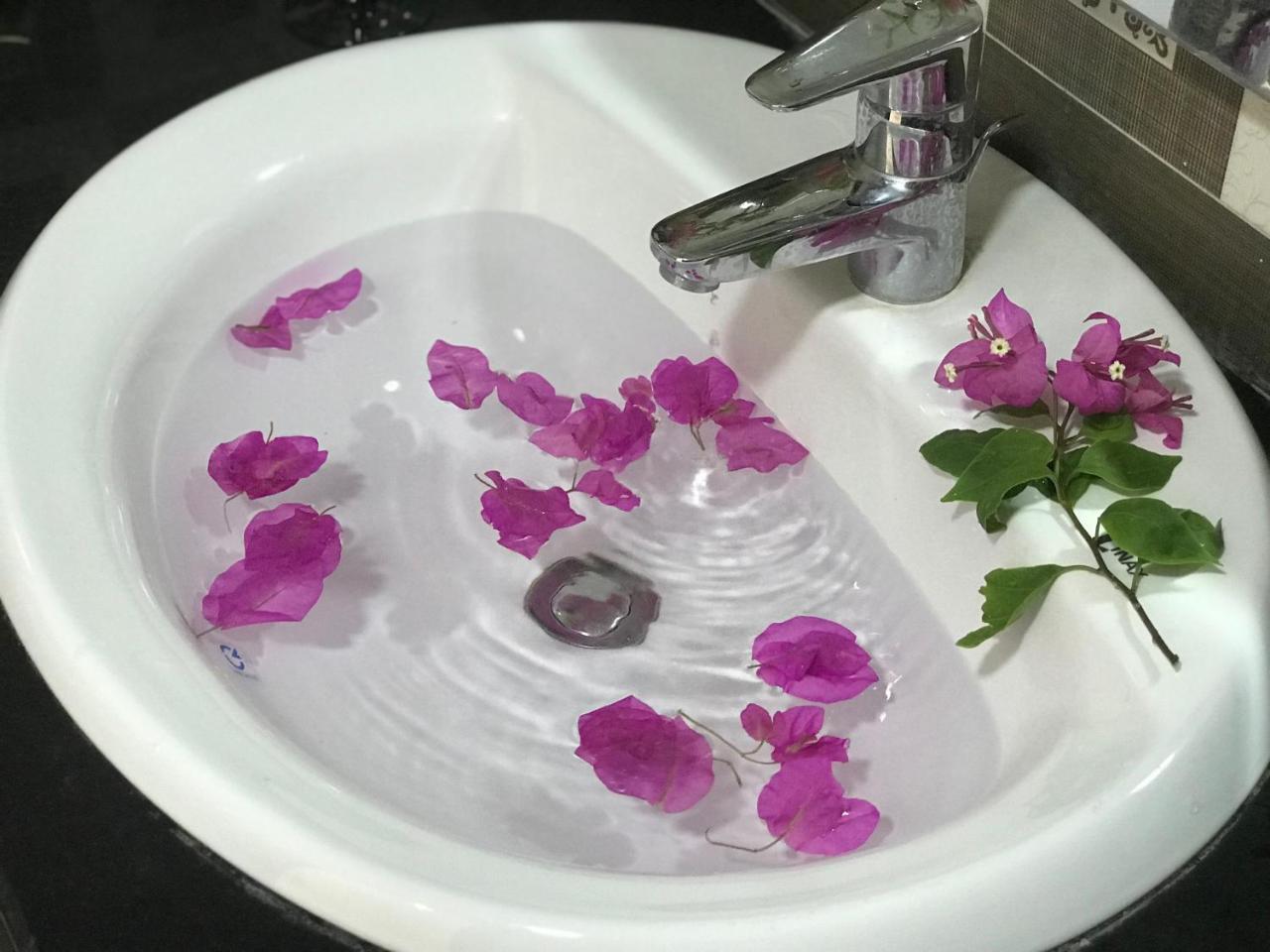 קאט בה Ha Vy Hotel מראה חיצוני תמונה